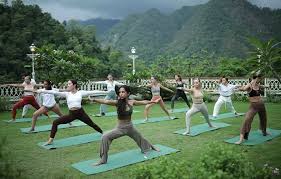 Holistic Yoga and Wellness Training Program in Rishikesh