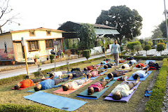 Traditional Yoga Training Program