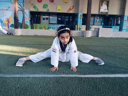 Best Taekwondo & Yoga Academy
