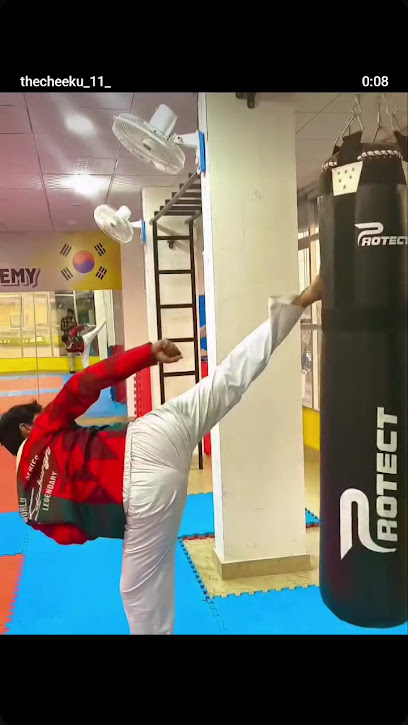 Marshfit Taekwondo Academy - JAIPUR