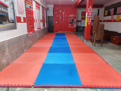 National Martial Art and Sports Academy 