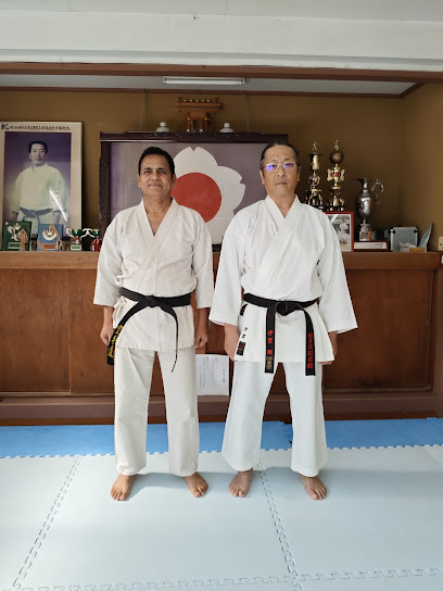 Indian Martial Arts Academy (IMA)