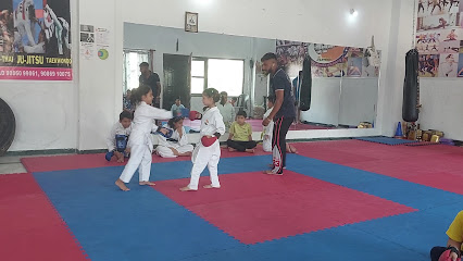 UNITED MARTIAL ART ACADEMY