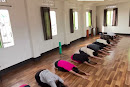 Taibang Nutrition  Yoga studio