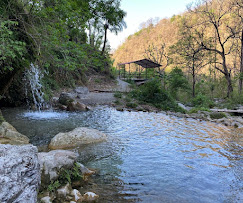 Mind Flow Harmony Rishikesh