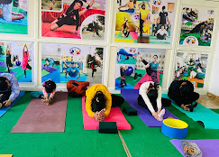 Divya Yog And  Medical Foundation