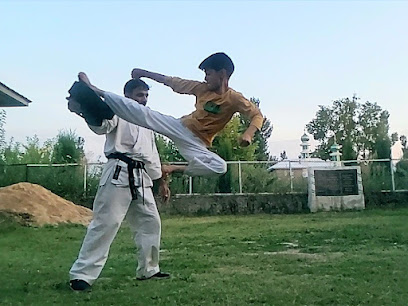 Amin Karate Academy Karate School