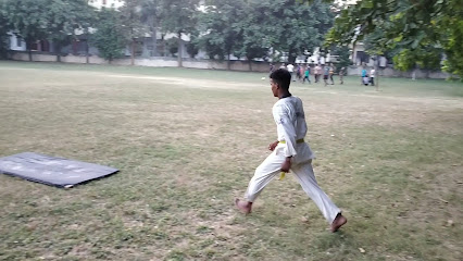 Flying Kick Taekwondo Academy Self Defense School